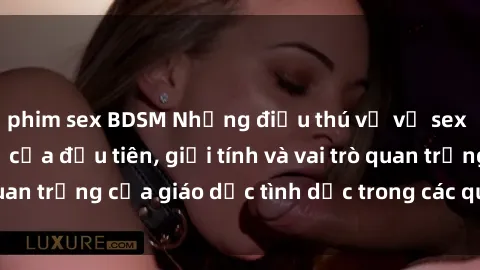 phim sex BDSM Những điều thú vị về sex ở Bắc Âu: Sự mở cửa đầu tiên, giới tính và vai trò quan trọng của giáo dục tình dục trong các quốc gia này.
